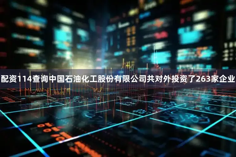 配资114查询中国石油化工股份有限公司共对外投资了263家企业