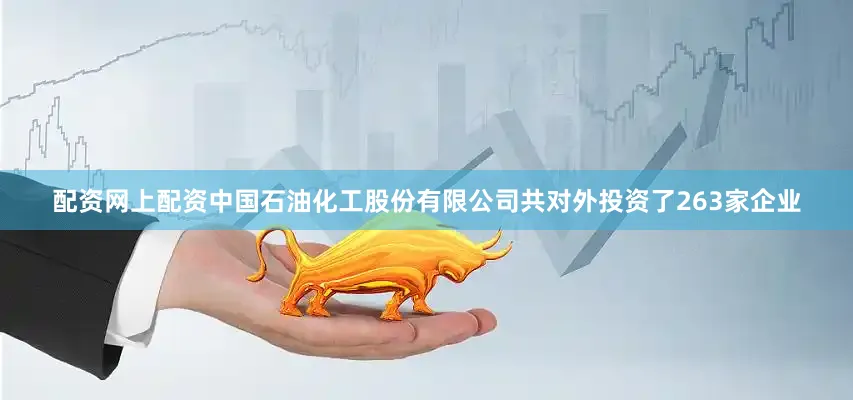 配资网上配资中国石油化工股份有限公司共对外投资了263家企业